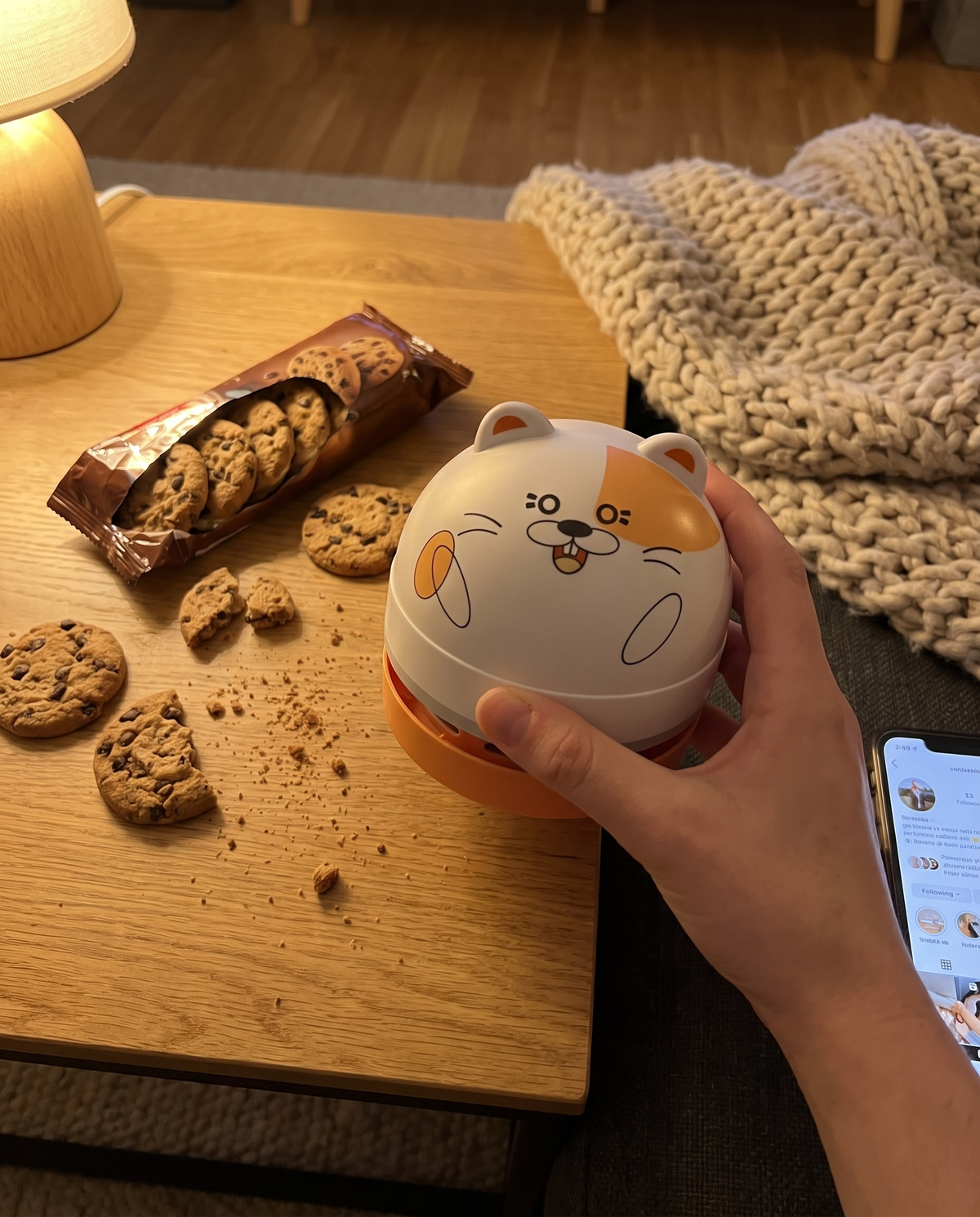 DeskVac Katze – Orangefleck in der Hand über dem Couchtisch mit Keksen